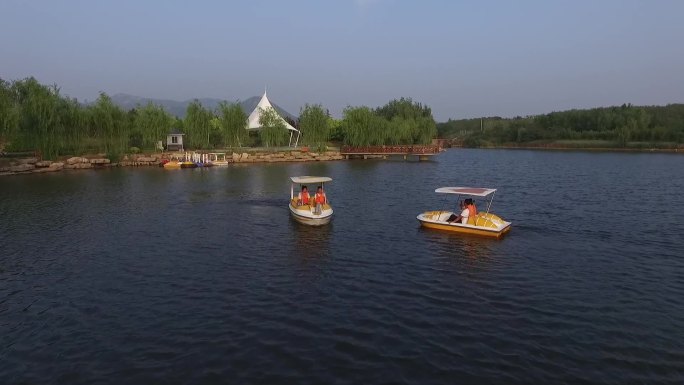 实拍湖面.游船.黑天鹅