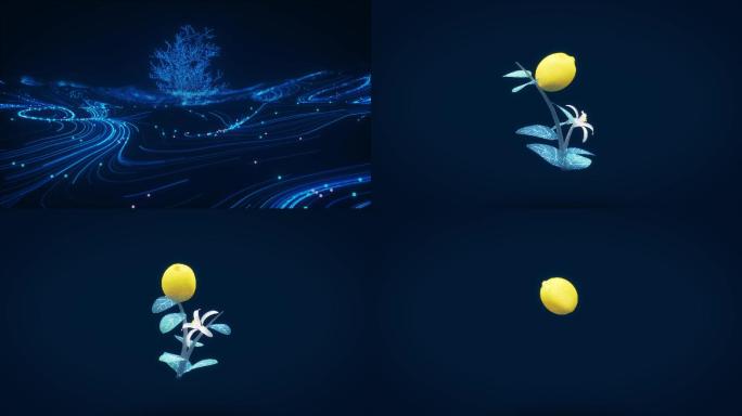 科技粒子柠檬树生长和柠檬内部展示