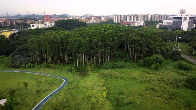 航拍广州大学城绿化中心湖日落