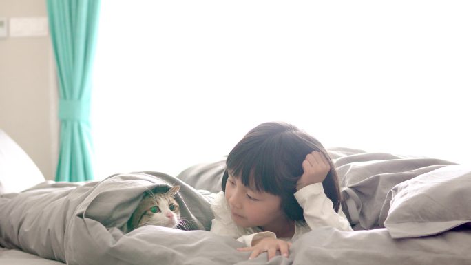 小孩与猫在床上玩耍