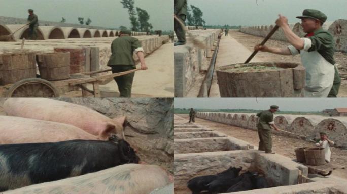 70年代南京军营饲养员老视频13