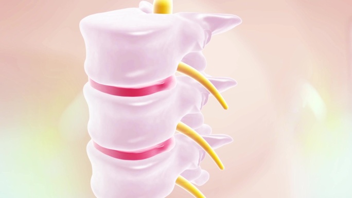 腰椎病压破神经视频素材