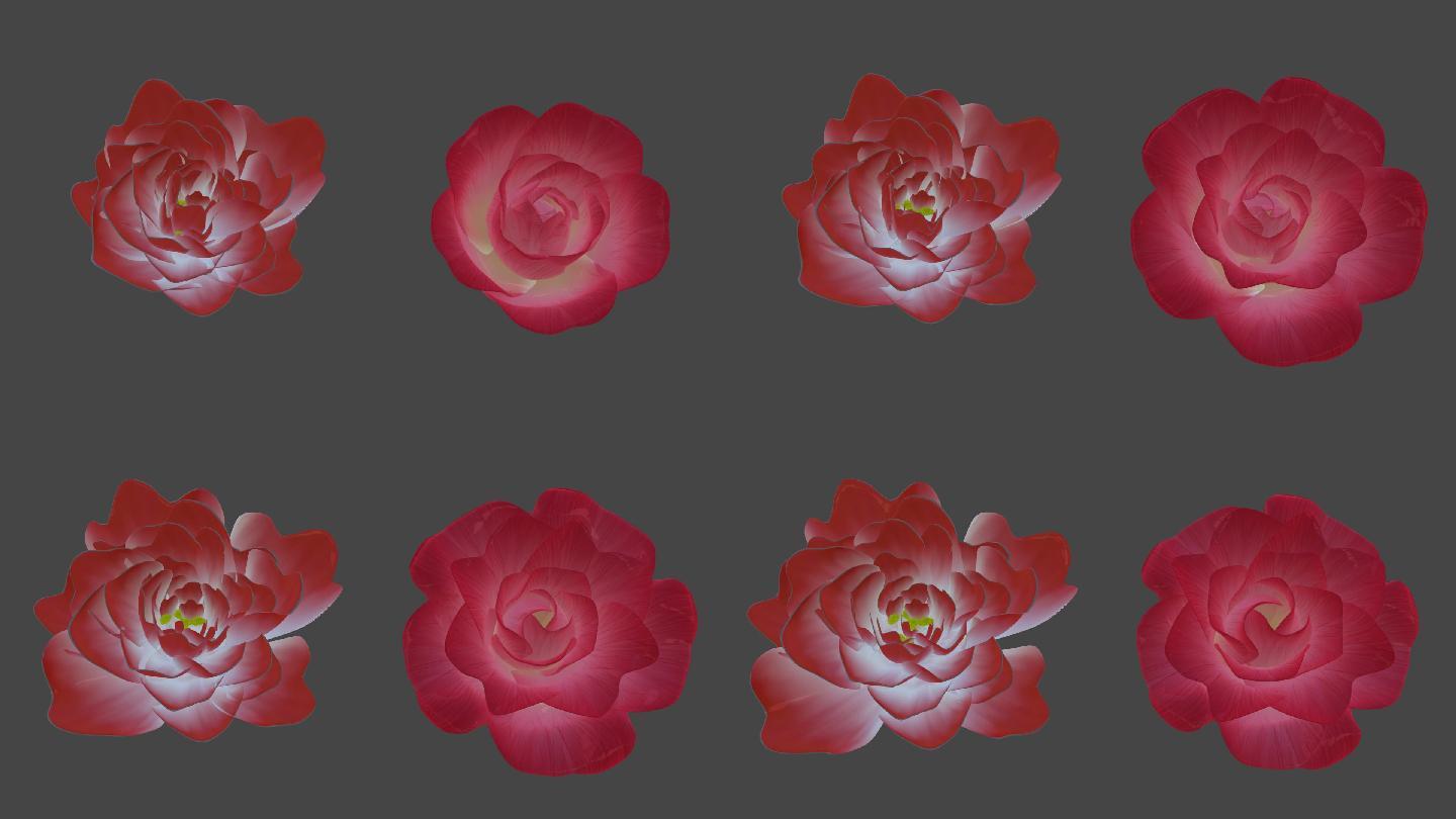 写实玫瑰花开花动画场景，开花，玫瑰花，动画，绽放，花开动画，草地，植物，自然，花草，小花，生态，创意-CG模型网（cgmodel)-让设计更有价值!