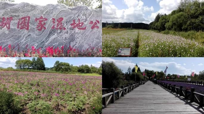 吉林敦化大石头亚光湖湿地公园素材