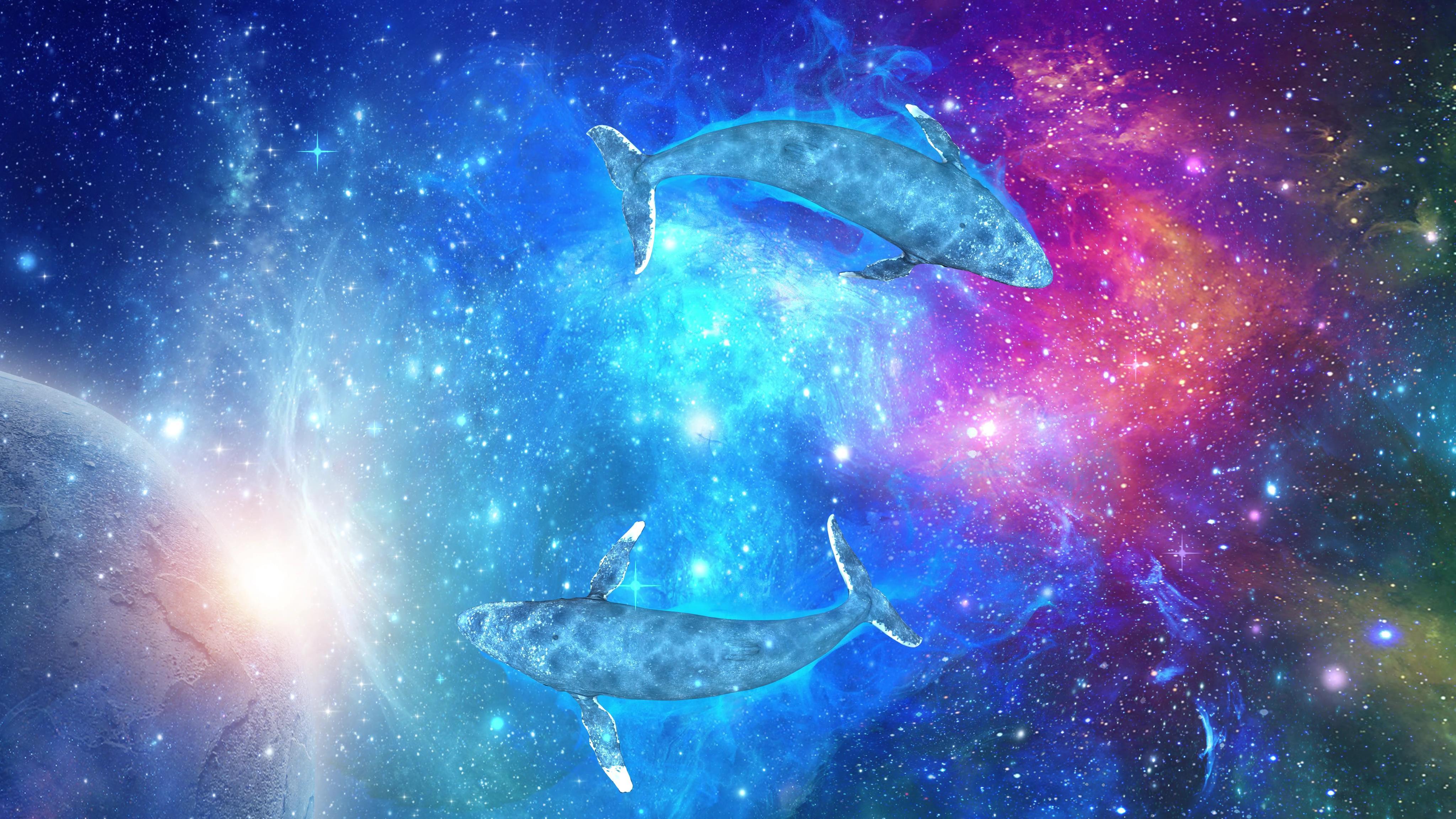 星空鯨魚4k(03)-無縫循環
