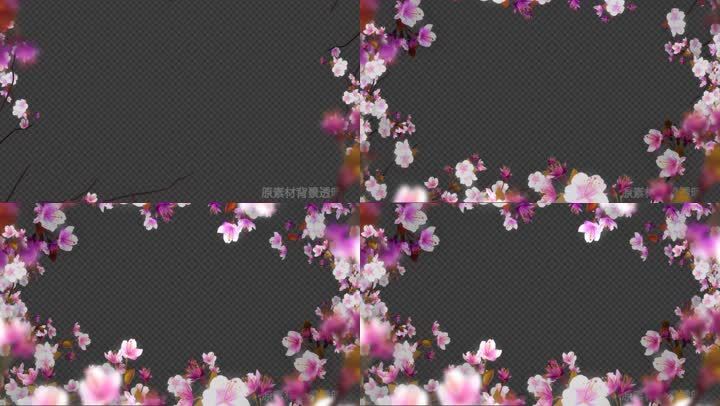 花生长框 循环带透明背景 视频素材包下载 编号 影视包装 Vj师网www Vjshi Com 花生长框 循环带透明背景 视频素材包下载 编号 影视包装 Vj师网www Vjshi Com