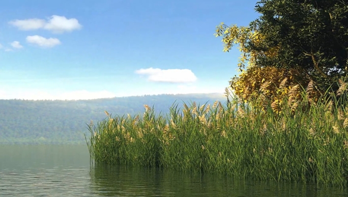 三维污水处理生态湖泊
