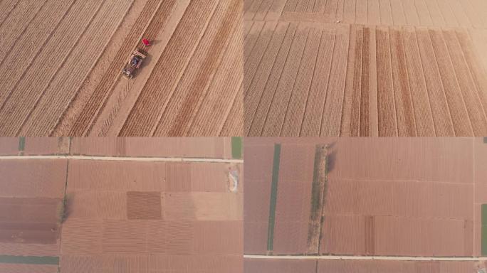 4K航拍耕地播种小麦