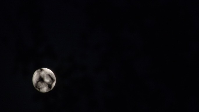 中秋节月亮从树梢升起延时2k
