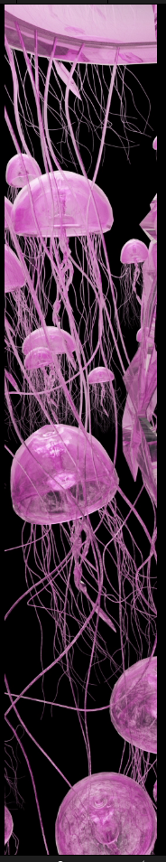 粉色的水母动画带透明通道视频素材