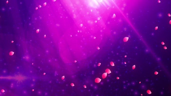 紫色花瓣飘落粒子背景