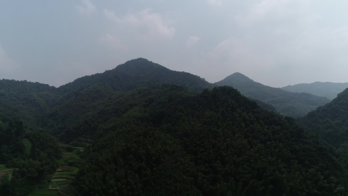 树风景山水山树木树林空镜头