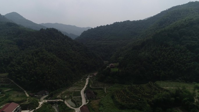 树风景山水山树木树林空镜头