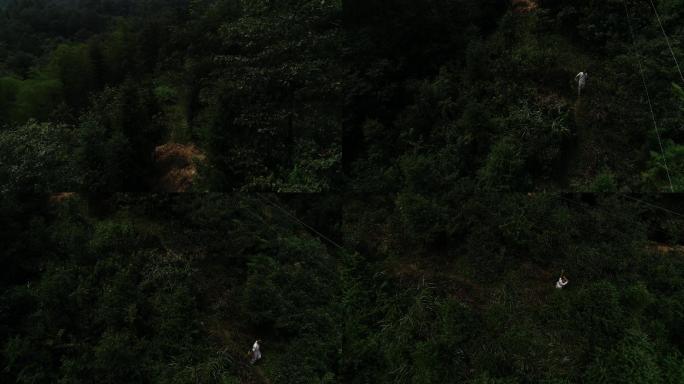 树风景山水山树木树林空镜头