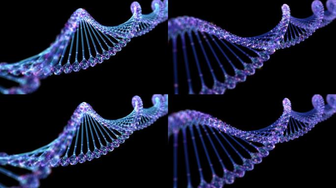 DNA通道循环