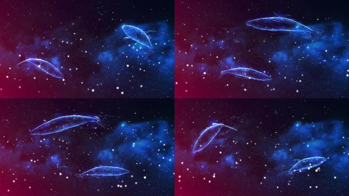 梦幻宇宙粒子鲸鱼游动背景循环