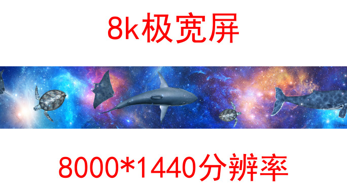 天幕星空鲸鱼8k（01）-无缝循环