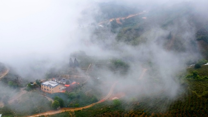 航拍茶山茶树、茶农采茶、机器炒茶