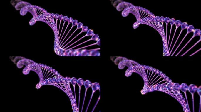 DNA通道循环