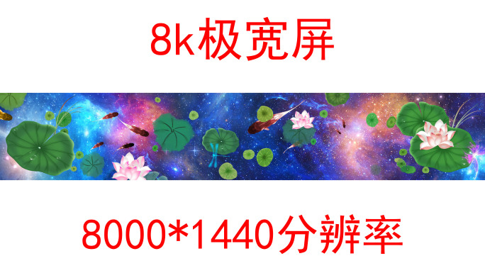 地面投影荷花鲤鱼8k（01）-无缝循环