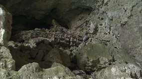 洞窟视频素材下载 洞窟ae模板下载 Vj师网 洞窟视频素材下载 洞窟ae模板下载 Vj师网
