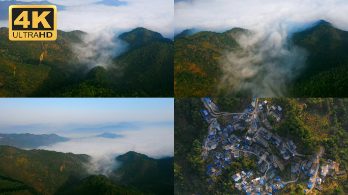 【4K】航拍易武茶山，航拍古茶山，麻黑村