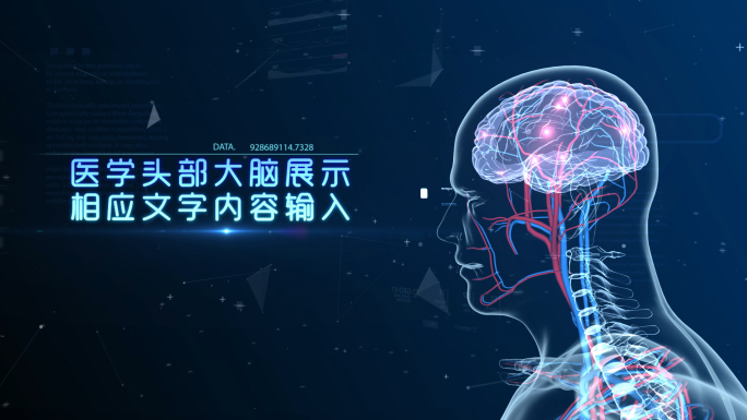 医学大脑展示AE模板