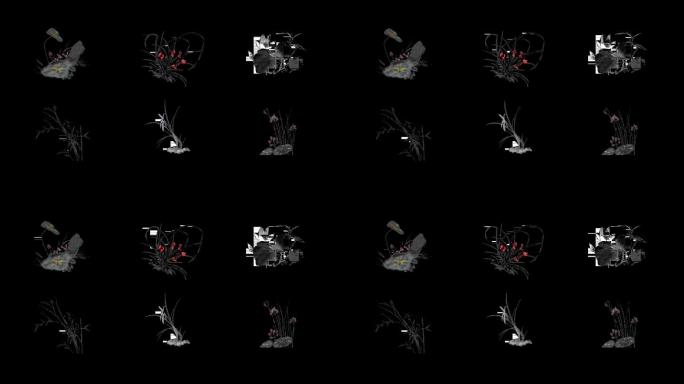 6组带通道水墨花草元素视频素材