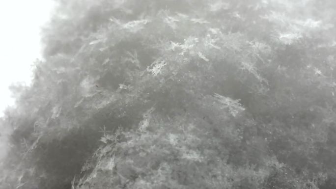 雪景下雪悬疑气氛