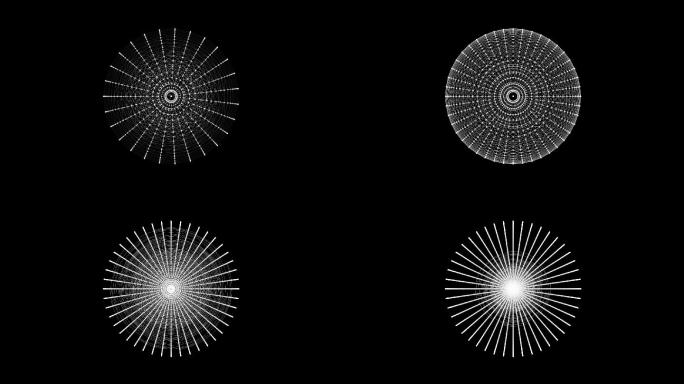 圆形放射状粒子