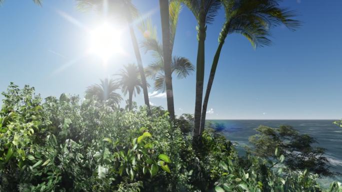 大海孤岛沙洲椰树棕榈三维动画