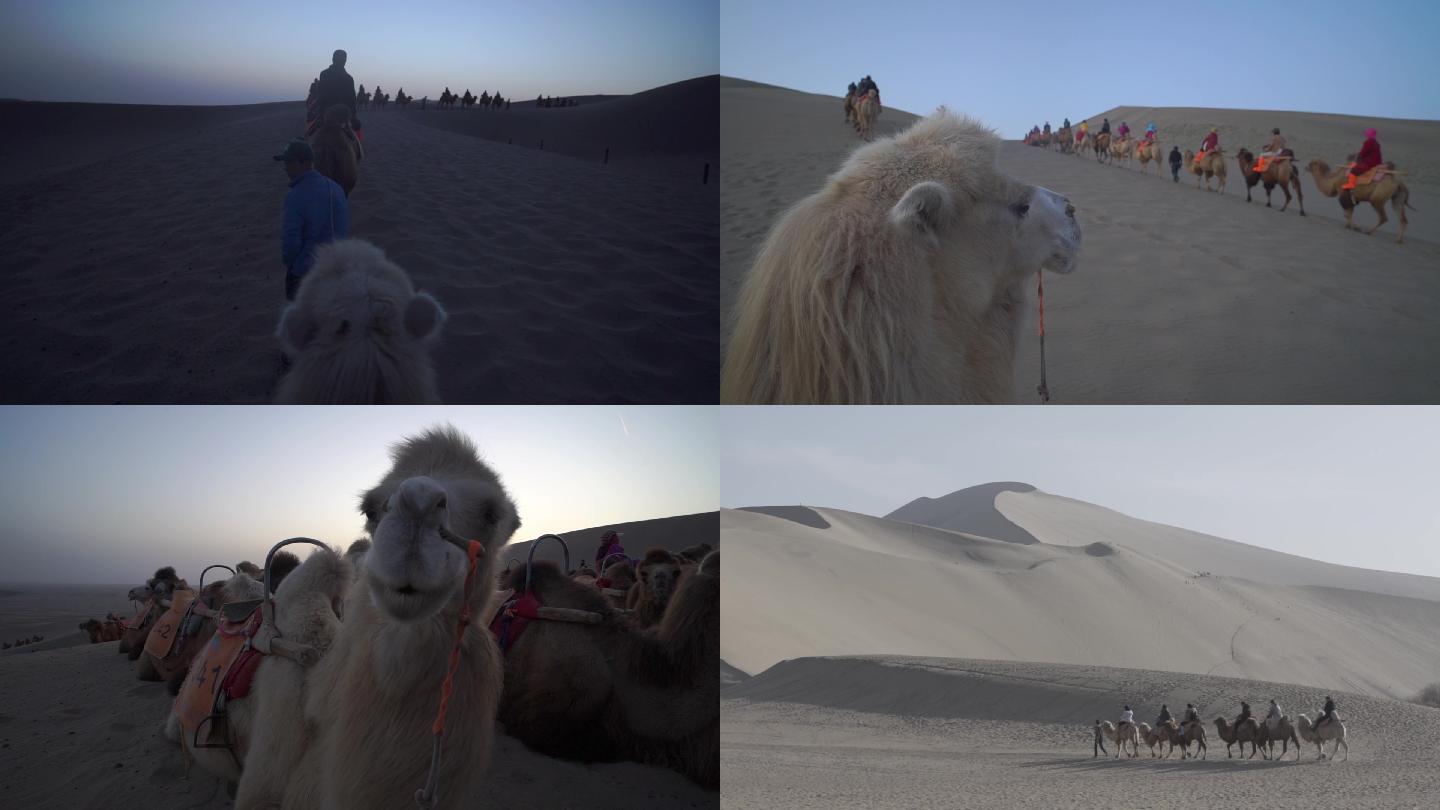 大漠沙漠骑骆驼看日出的驼队
