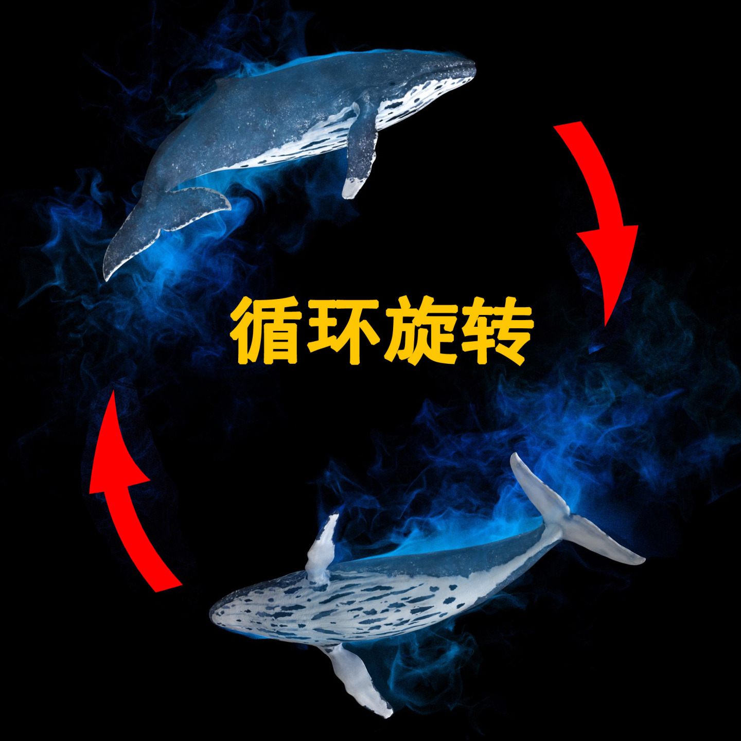 鲸鱼旋转4k（02）-alpha循环