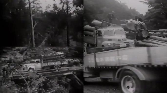 30年代伐木、木材运输