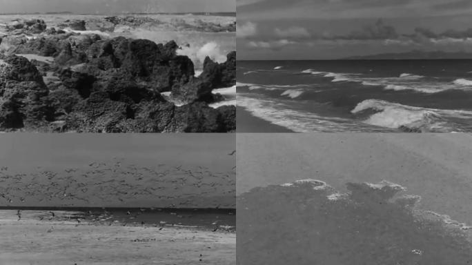黑白海浪、海滩、海鸥