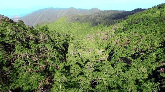 百草岭高海拔山峰航拍视频