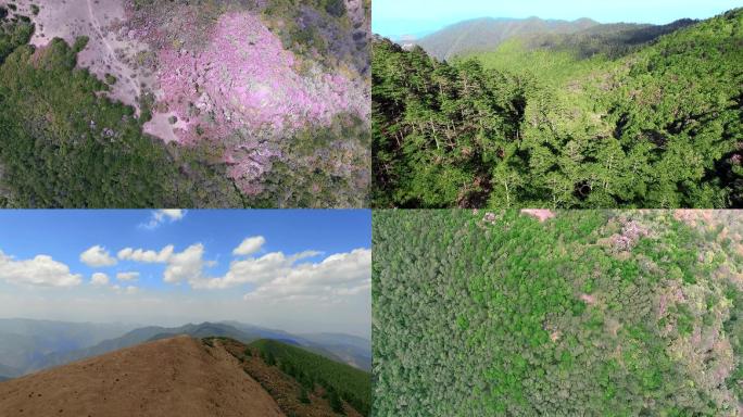 百草岭高海拔山峰航拍视频