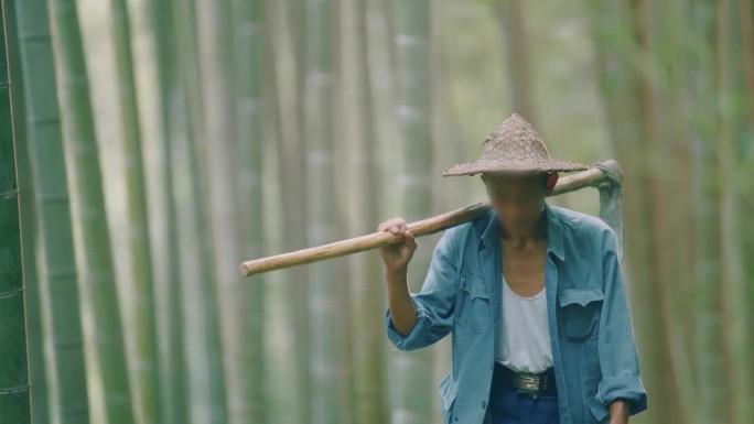 清晨竹林上山老人护林员绿水青山