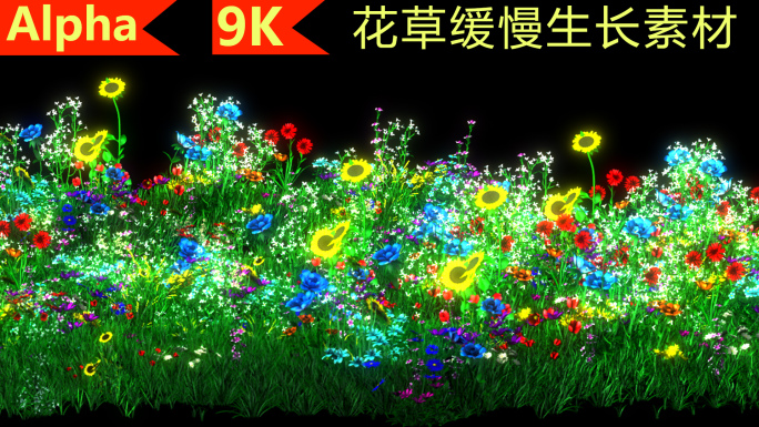 9K花草丛植物缓慢生长动画