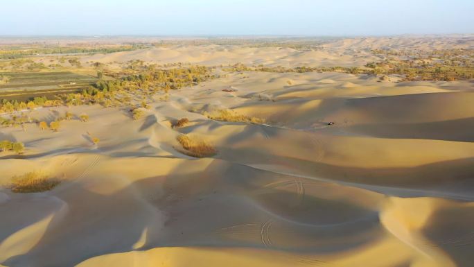 大美塔克拉玛干大沙漠航拍风光沙漠奔跑的车