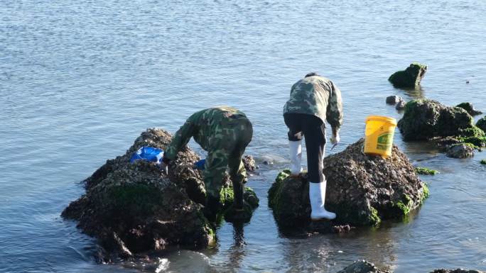 渔民赶海淘海鲜海边生活海岸礁石