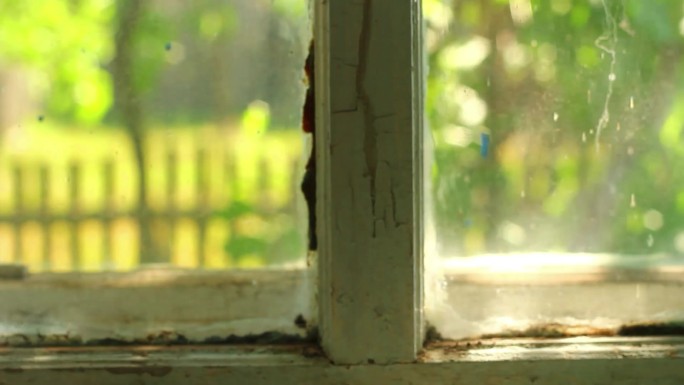 窗户窗台篱笆阳光绿叶乡村生活