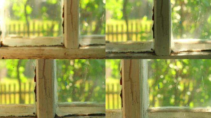 窗户窗台篱笆阳光绿叶乡村生活