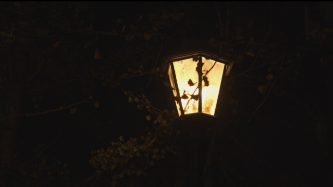 【原创】4K城市路灯夜晚小区夜景