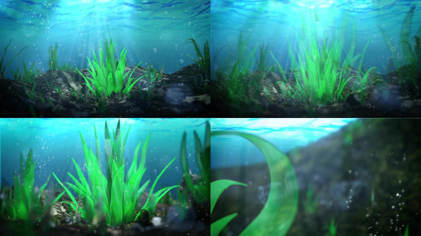 海藻海洋栏目包装c4d工程文件 C4d工程下载 编号 3d模型 Vj师网www Vjshi Com 海藻海洋栏目包装c4d工程文件 C4d工程下载 编号 3d模型 Vj师网www Vjshi Com