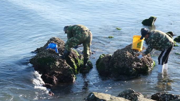 渔民赶海淘海鲜海边生活海岸礁石