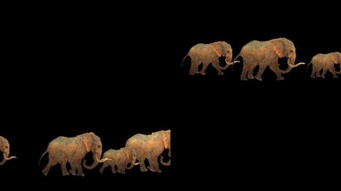 大象群奔跑