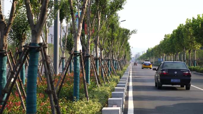 4K-城市道路-城市绿化