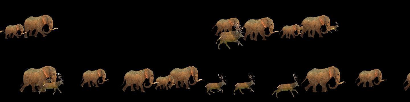 鹿群大象群奔跑