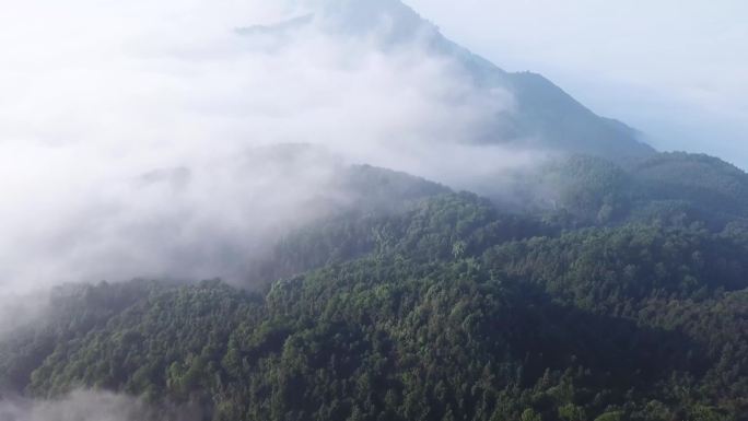 4k-航拍重庆虎峰山云雾